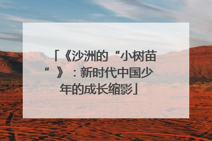 《沙洲的“小树苗”》：新时代中国少年的成长缩影