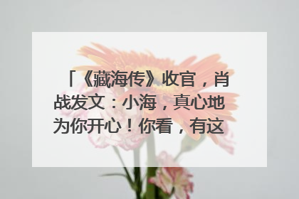 《藏海传》收官，肖战发文：小海，真心地为你开心！你看，有这么多人懂你！