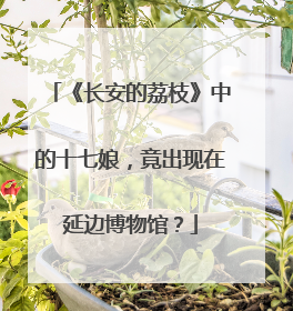 《长安的荔枝》中的十七娘，竟出现在延边博物馆？