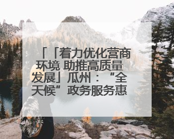 「着力优化营商环境 助推高质量发展」瓜州：“全天候”政务服务惠企便民