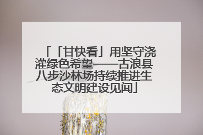 「甘快看」用坚守浇灌绿色希望——古浪县八步沙林场持续推进生态文明建设见闻