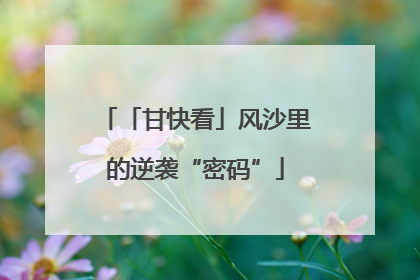 「甘快看」风沙里的逆袭“密码”