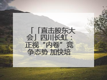 「直击股东大会」四川长虹：正视“内卷”竞争态势 加快培育发展新动能