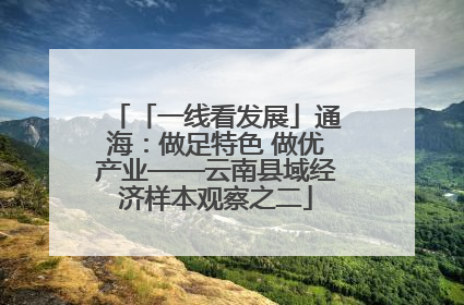 「一线看发展」通海：做足特色 做优产业——云南县域经济样本观察之二