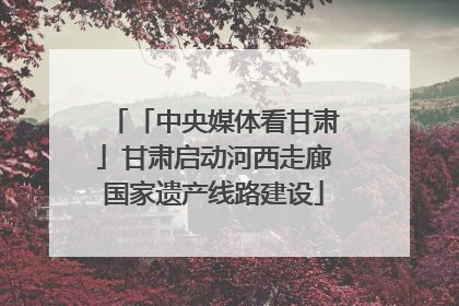 「中央媒体看甘肃」甘肃启动河西走廊国家遗产线路建设