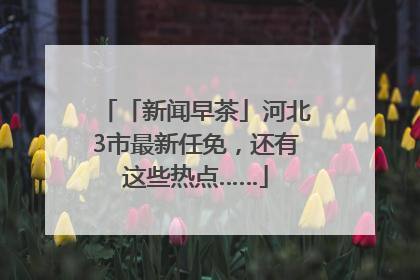 「新闻早茶」河北3市最新任免，还有这些热点……