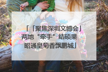 「聚焦深圳文博会」两地“牵手”结硕果 昭通皇菊香飘鹏城