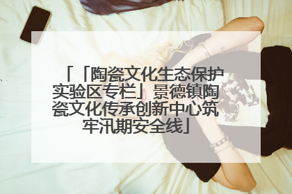 「陶瓷文化生态保护实验区专栏」景德镇陶瓷文化传承创新中心筑牢汛期安全线