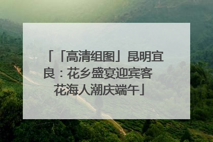「高清组图」昆明宜良：花乡盛宴迎宾客 花海人潮庆端午