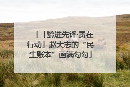 「黔进先锋·贵在行动」赵大志的“民生账本”画满勾勾