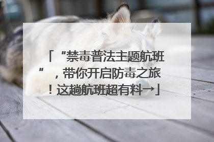 “禁毒普法主题航班”，带你开启防毒之旅！这趟航班超有料→