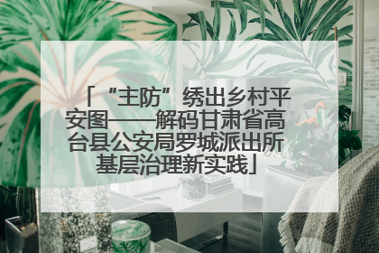 “主防”绣出乡村平安图——解码甘肃省高台县公安局罗城派出所基层治理新实践