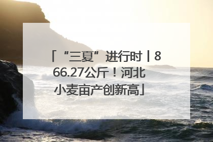 “三夏”进行时丨866.27公斤！河北小麦亩产创新高