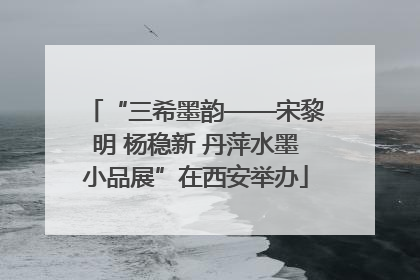 “三希墨韵——宋黎明 杨稳新 丹萍水墨小品展”在西安举办