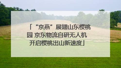 “京燕”展翅山东樱桃园 京东物流自研无人机开启樱桃出山新速度