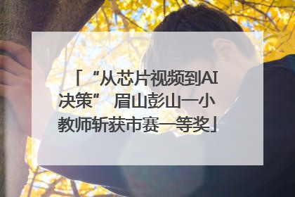 “从芯片视频到AI决策” 眉山彭山一小教师斩获市赛一等奖