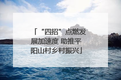 “四招”点燃发展加速度 助推平阳山村乡村振兴