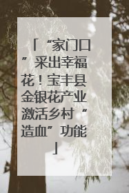 “家门口”采出幸福花！宝丰县金银花产业激活乡村“造血”功能
