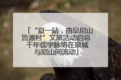 “夏一站，曲阜尼山鲁源村”文旅活动启幕 千年儒学脉络在泉城与尼山间流动