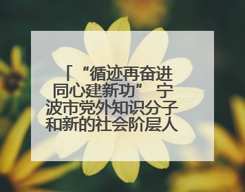 “循迹再奋进 同心建新功” 宁波市党外知识分子和新的社会阶层人士、归国留学人员走进宁波舟山港穿山港区