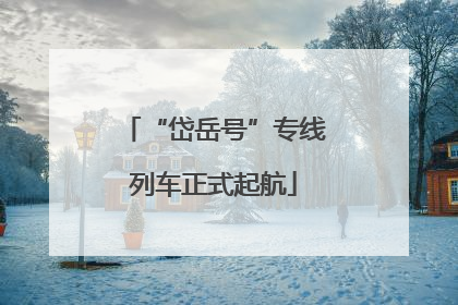 “岱岳号”专线列车正式起航