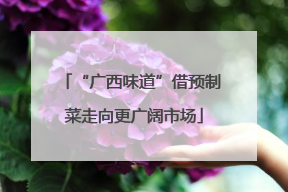 “广西味道”借预制菜走向更广阔市场