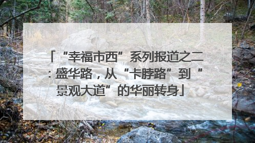 “幸福市西”系列报道之二：盛华路，从“卡脖路”到“景观大道”的华丽转身