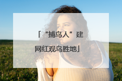 “捕鸟人”建网红观鸟胜地