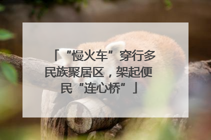 “慢火车”穿行多民族聚居区，架起便民“连心桥”