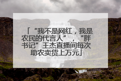 “我不是网红，我是农民的代言人”，“胖书记”王杰直播间每次助农卖货上万元