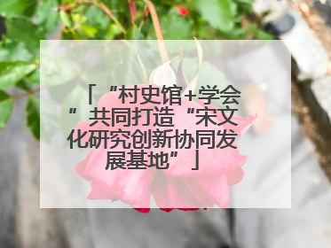 “村史馆+学会”共同打造“宋文化研究创新协同发展基地”