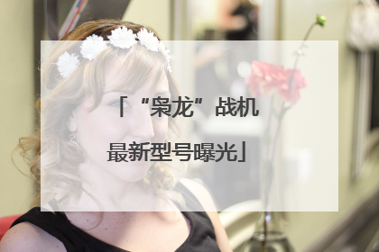 “枭龙”战机最新型号曝光