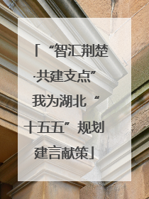 “智汇荆楚·共建支点” 我为湖北“十五五”规划建言献策
