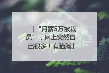 “月薪5万被裁员”，网上突然冒出很多！有猫腻