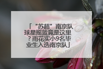 “苏超”南京队球星摇篮竟是这里？雨花实小9名毕业生入选南京队