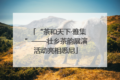 “茶和天下·雅集”——壮乡茶韵展演活动亮相悉尼