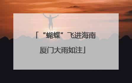 “蝴蝶”飞进海南 厦门大雨如注