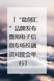 “葛创汇”品牌发布暨光电子信息专场投融资对接会举行