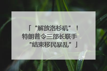 “解放洛杉矶”！特朗普令三部长联手“结束移民暴乱”