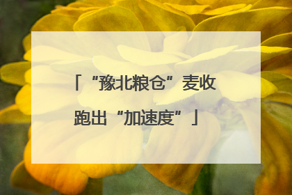 “豫北粮仓”麦收跑出“加速度”