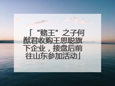 “赌王”之子何猷君收购王思聪旗下企业，接盘后前往山东参加活动