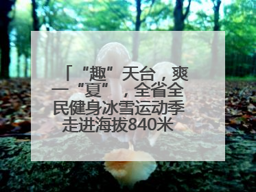 “趣”天台，爽一“夏”，全省全民健身冰雪运动季走进海拔840米的天台山
