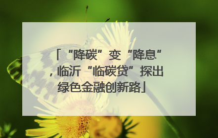 “降碳”变“降息”，临沂“临碳贷”探出绿色金融创新路