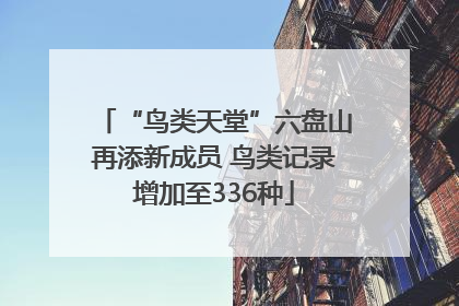 “鸟类天堂”六盘山再添新成员 鸟类记录增加至336种