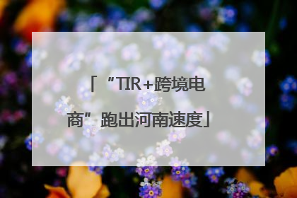 “TIR+跨境电商”跑出河南速度