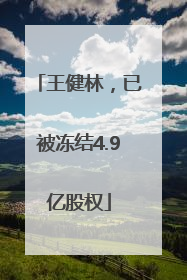 王健林，已被冻结4.9亿股权