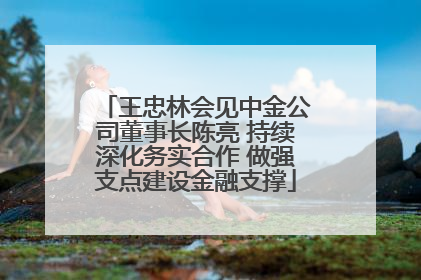 王忠林会见中金公司董事长陈亮 持续深化务实合作 做强支点建设金融支撑