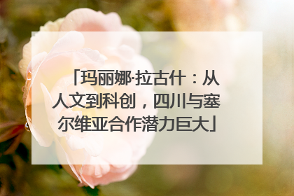 玛丽娜·拉古什：从人文到科创，四川与塞尔维亚合作潜力巨大