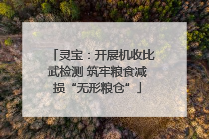 灵宝：开展机收比武检测 筑牢粮食减损“无形粮仓”