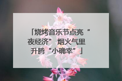 烧烤音乐节点亮“夜经济” 烟火气里升腾“小确幸”